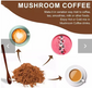 R Y Z E MUSHROOM COFFEE